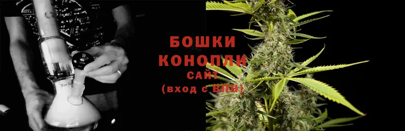 Канабис OG Kush  цены   Кириши 